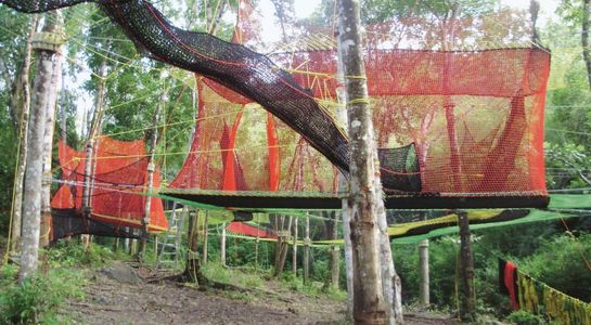Park linowy w Martinique